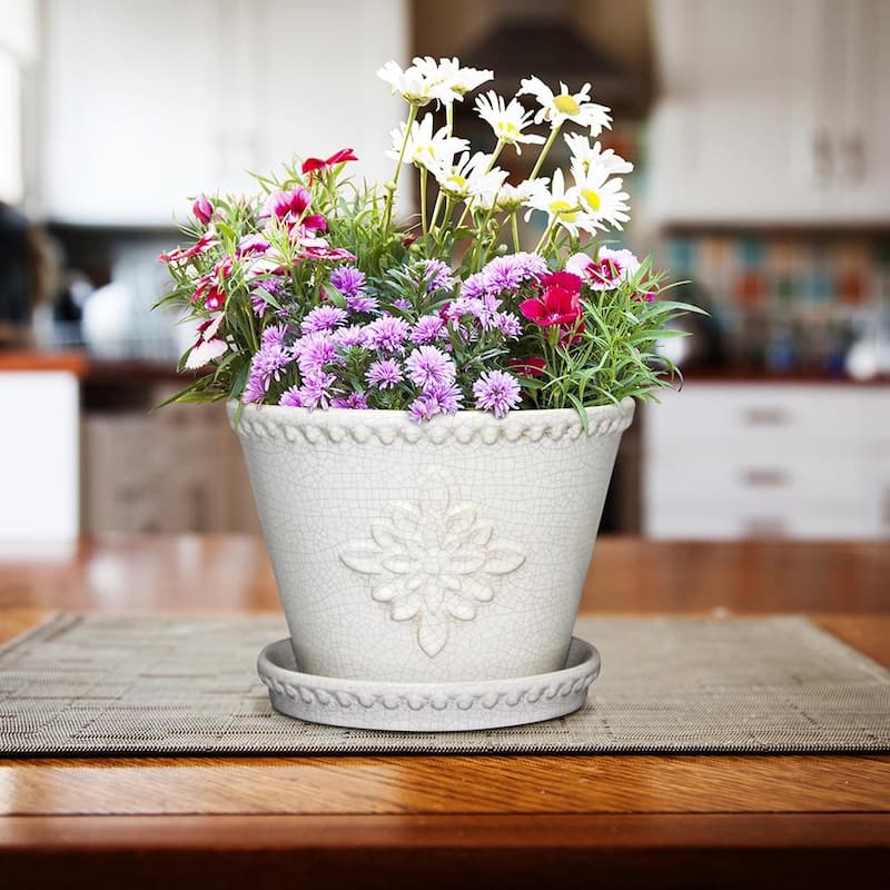 Southern Patio Lorna Planter