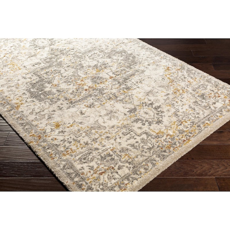 Pienza Updated Traditional Medallion Area Rug
