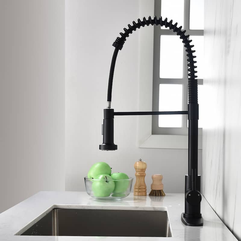 Single-Handle Pull-Down Sprayer Kitchen Faucet