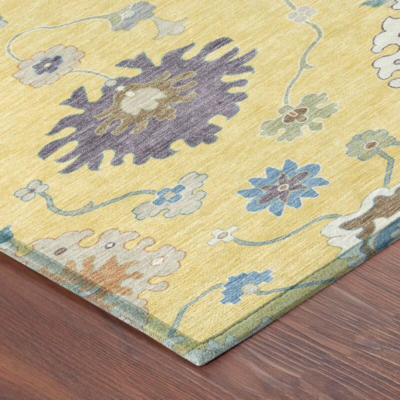 Machine Washable Indoor/ Outdoor Traditonal Delhi Chantille Rug