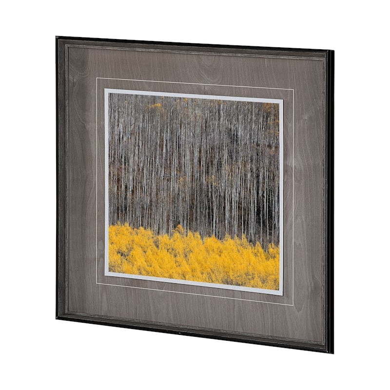 Aspen Trees 4 Framed Art Print