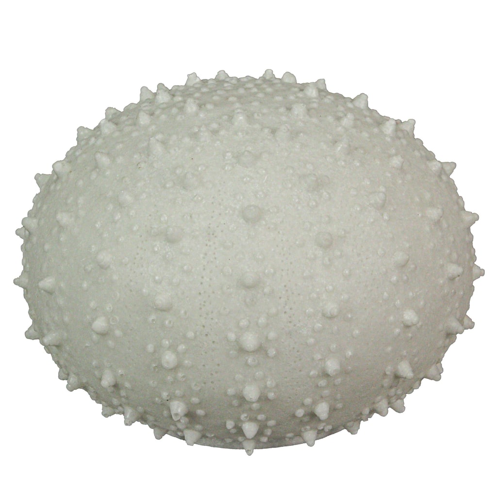 8.5 Inch Resin Led Sea Urchin Accent Lamp Table Light - 6.25 X 8.5 X 8.5 inches