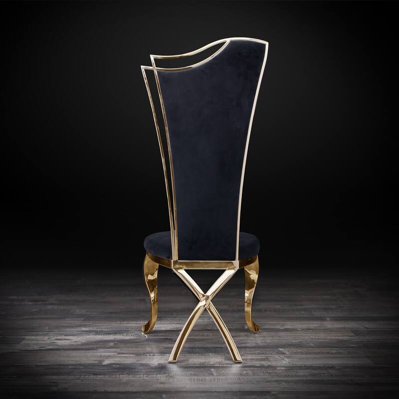 Belladonna Titanium Gold Stainless Steel Dining Chair, Set of 2
