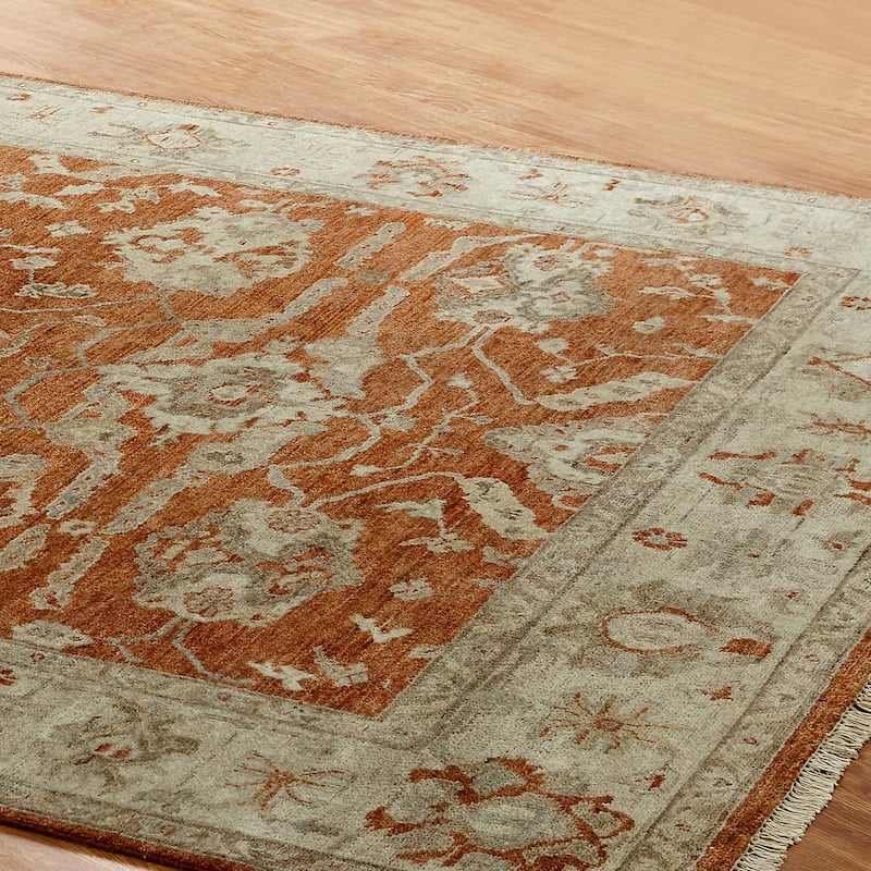 Traditional Multi-Colored Hand-Knotted Wool Area Rug