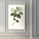 preview thumbnail 7 of 8, Sage Botanical I -Premium Gallery Wrapped Canvas