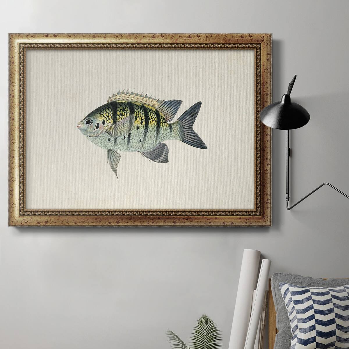 Tropical Fish Collection VI Premium Framed Canvas Ready to Hang Bed