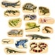 preview thumbnail 1 of 6, TickiT Wooden Reptile & Amphibian Blocks - Set of 15 - Natural Natural - Kids