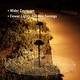 preview thumbnail 5 of 7, 6 Pack 5CCT LED Landscape Pathway Lights, Double Layer - Oil Rubbed Bronze