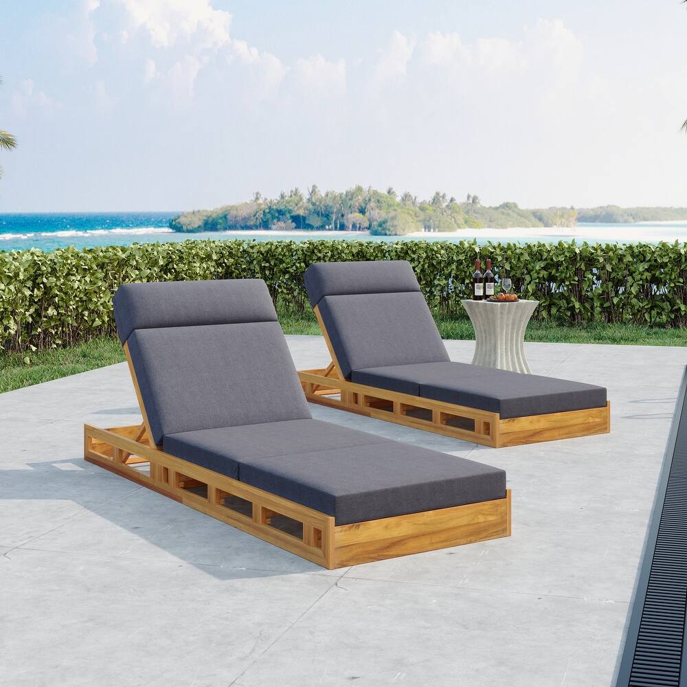 Outdoor Patio Chaise Lounge Chairs Adjustable Backrest Lounge Chairs with Water-repellent Cushions for Poolside Balcony Garden