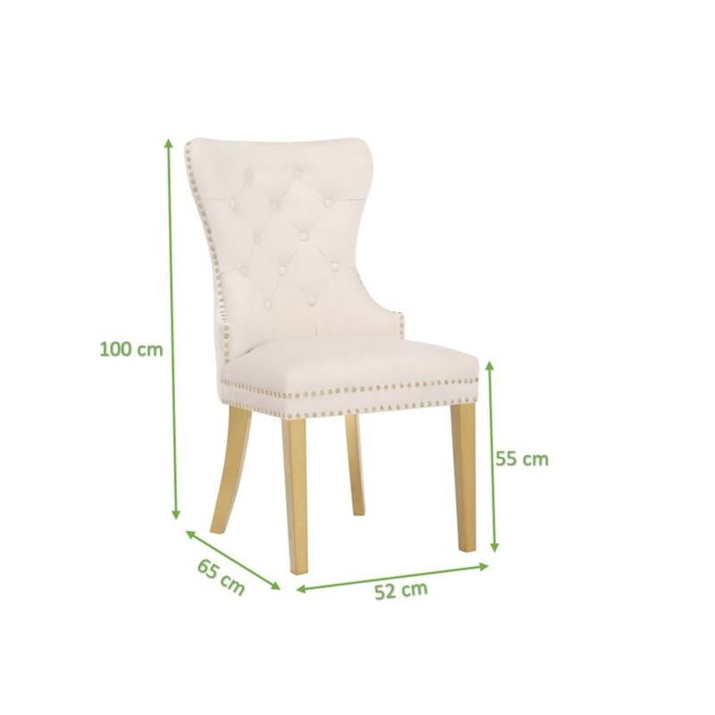 Modern Set of 2 Dining Chairs with Button Tufted Upholstered Back, Nailhead Trim, Stainless Steel Legs for Dining Room