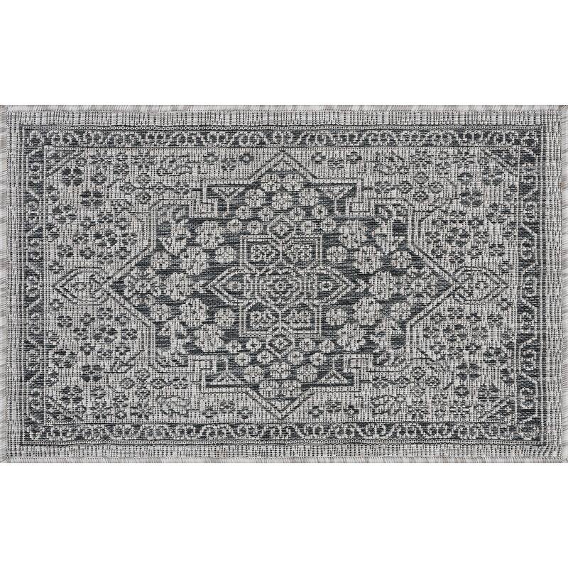 Colonnade Traditional Medallion Indoor/Outdoor Area Rug