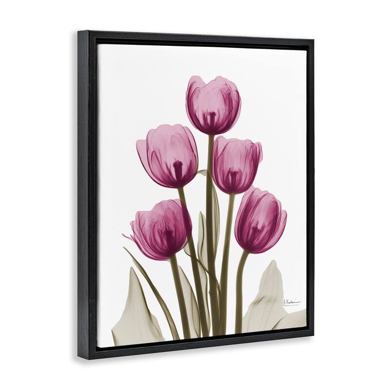 Stupell Pink X-Ray Tulips Framed Floater Canvas Wall Art Design by Albert Koetsier