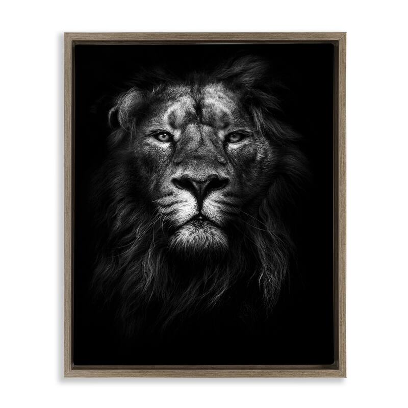 Stupell King of the Jungle Lion In Shadows Black and White Photography Floater Frame - 25 x 31 - Brown