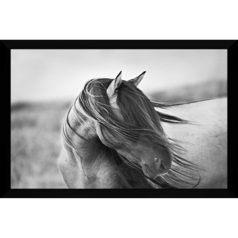 "Fierce Grace" by Tony Stromberg Print on Acrylic