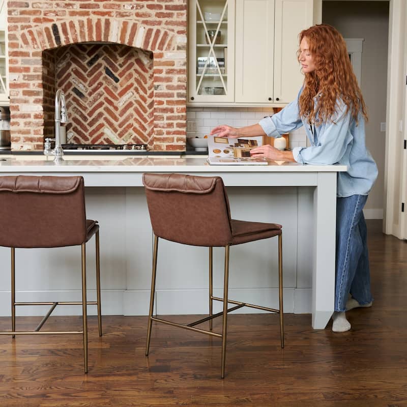 Maven Lane Gerard Bar Metal & Vegan Leather Kitchen Dining Stool