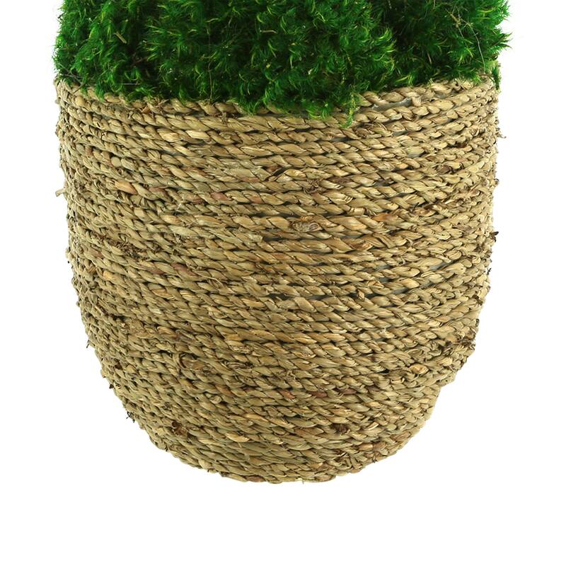 Moss Arranged in Large Strawgrass Pot - Green