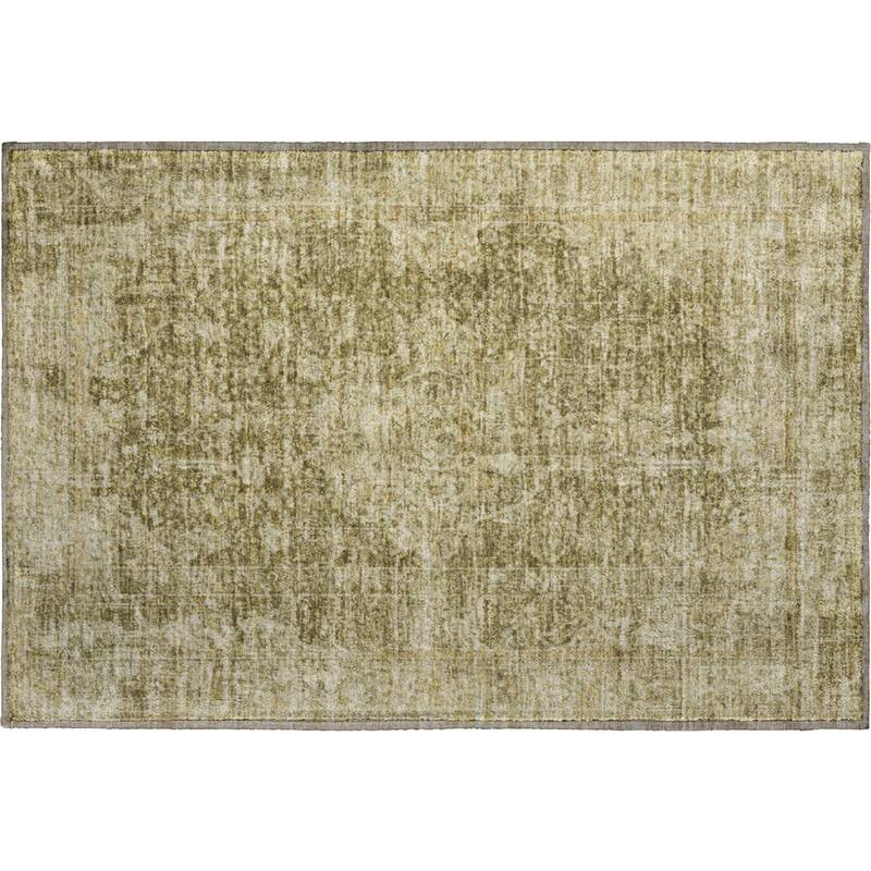 Premium Washable Super Soft Vintage Traditional Mayfield Rug