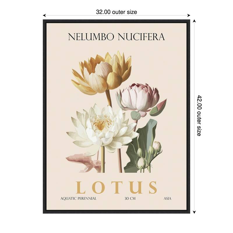 Vintage Botanical Lotus Illustration by Christopher Giampietro Framed Canvas Wall Art Print - Black - 32 x 42 in