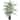 The Curated Nomad Zaius Areca Silk Palm Tree - Green