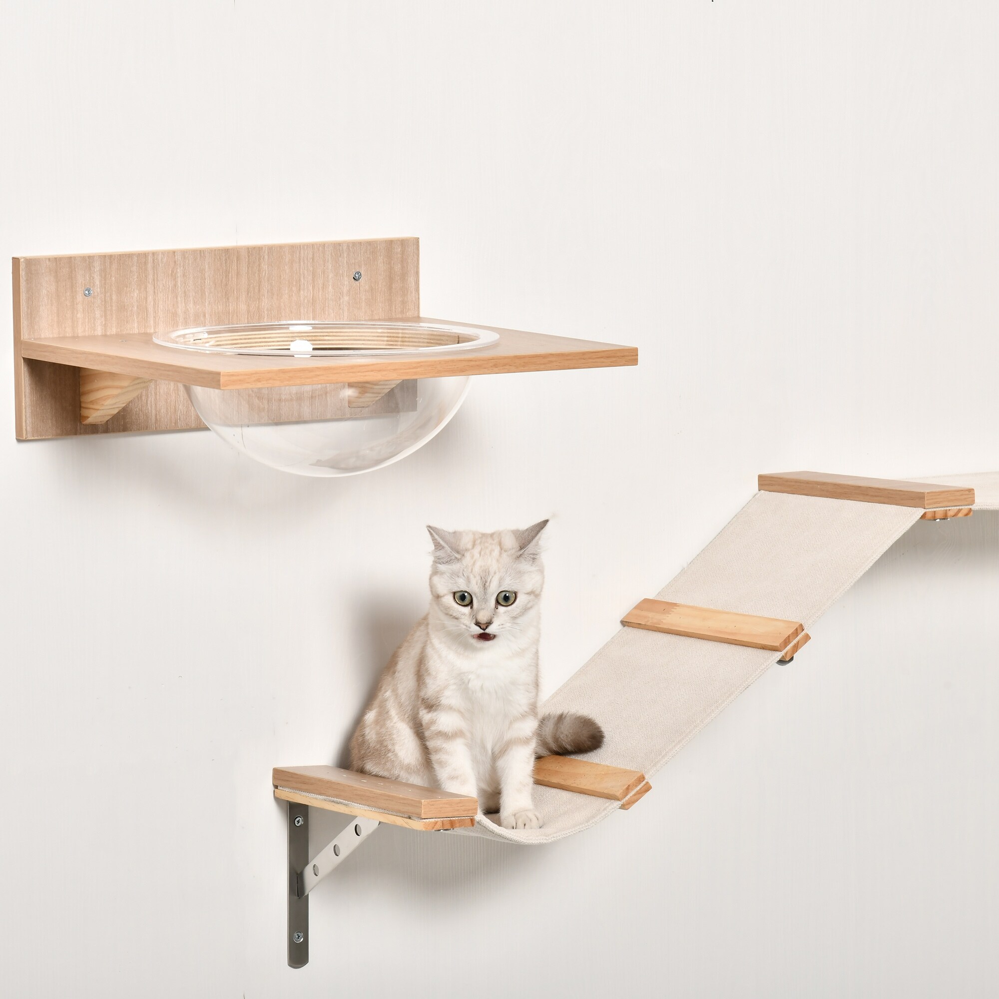 Cat tree 2025 with feeding station