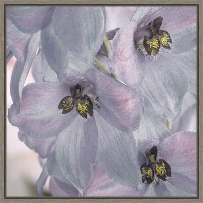Delphinium Blossoms by Jaynes Gallery Framed Canvas Art