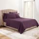 Option Purple Eggplant