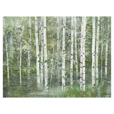 Birch Dream by Willowbrook Fine Art Canvas Art Print