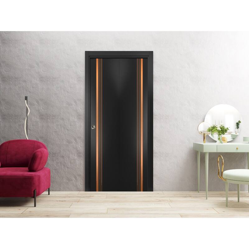 Bi-fold Doors 36 x 80 Planum 1010 Matte Black with Sturdy Tracks