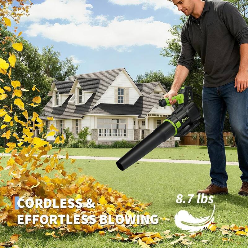 2 Speed 650CFM 200MPH Cordless 20V Electric Leaf Blower for Lawn Care, Blowing Leaves, Patio, Dust - N/A