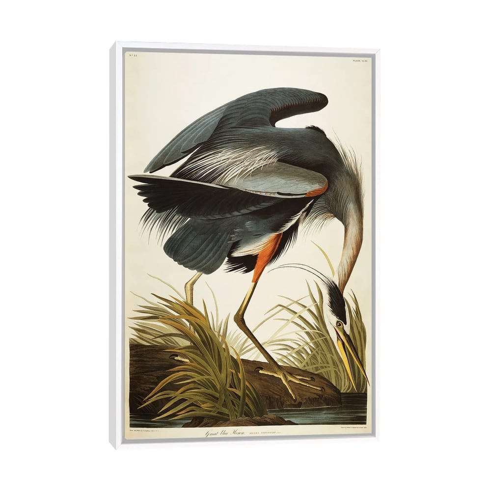 iCanvas "Great Blue Heron " by John James Audubon Framed Canvas Print