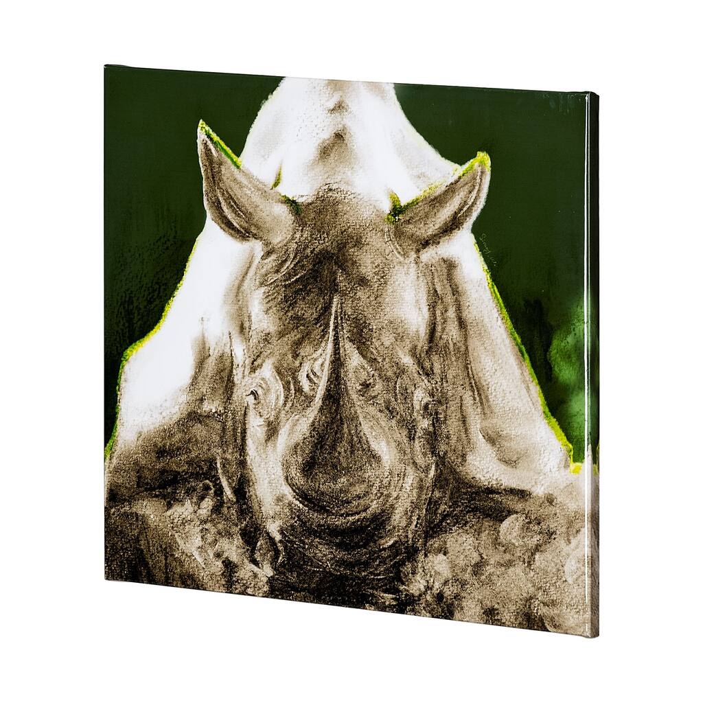 Rhino Green (41 x 41) Canvas Art Print