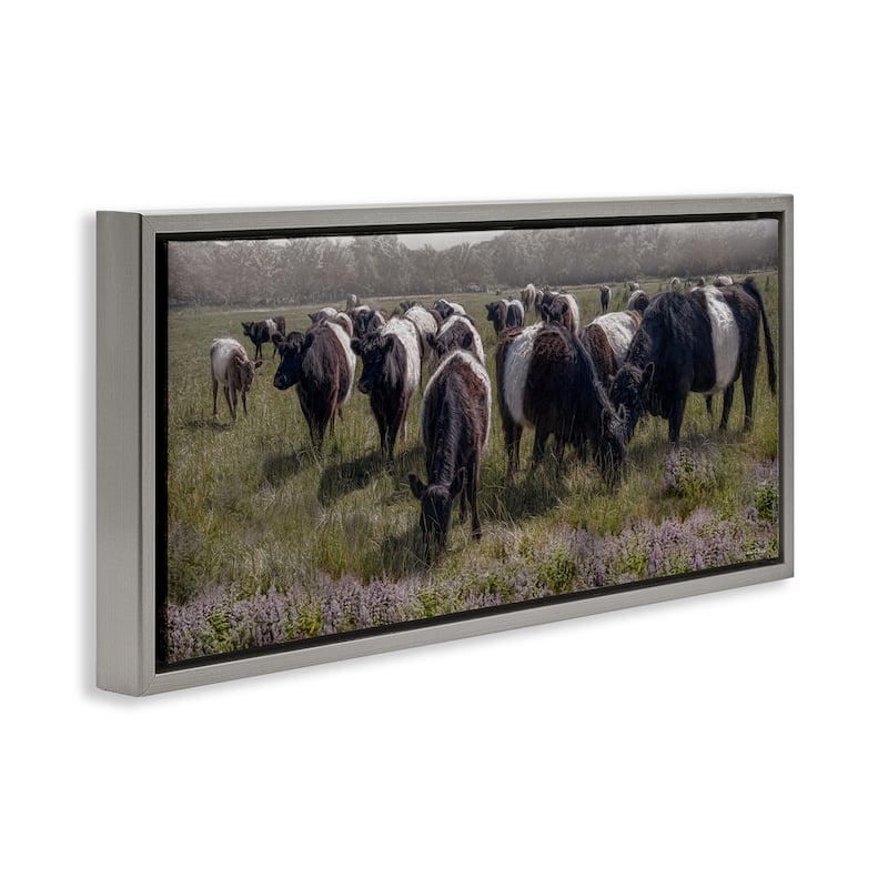 Stupell Black Cows Grazing in Pasture Framed Floater Canvas Wall Art Design By Robin-Lee Viera