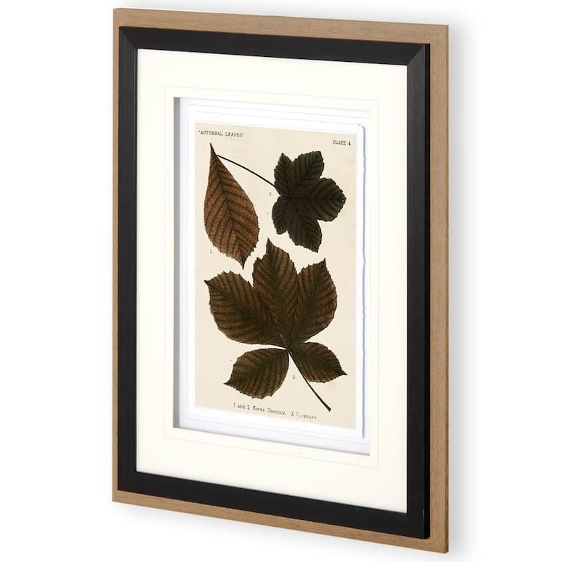 Autumnal Leaves III Framed Art Print