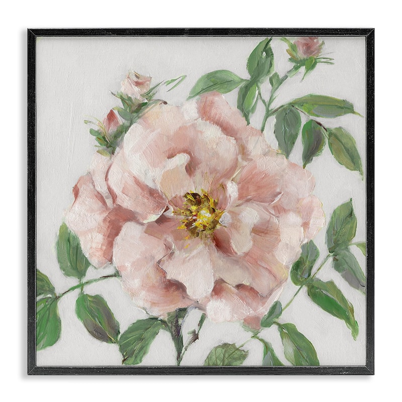 Stupell Traditional Single Pink Blossom Framed Giclee Art Design By Sally Swatland - 17 x 17 - Black