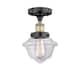 Option Clear / Black Antique Brass