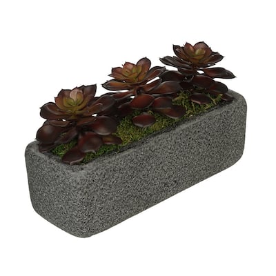 Faux Echeverias in Black Sandy-Texture Cermaic Vase