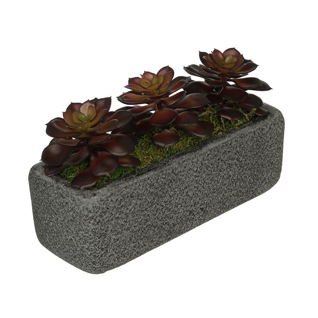 Faux Echeverias in Black Sandy-Texture Cermaic Vase