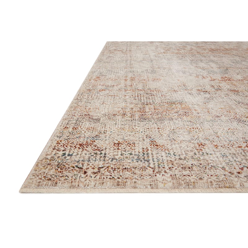 Alexander Home Leah Vintage Shabby Chic Area Rug