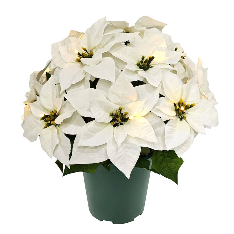 Puleo International 19" Pre-Lit Battery-Operated Artificial Potted White Poinsettias