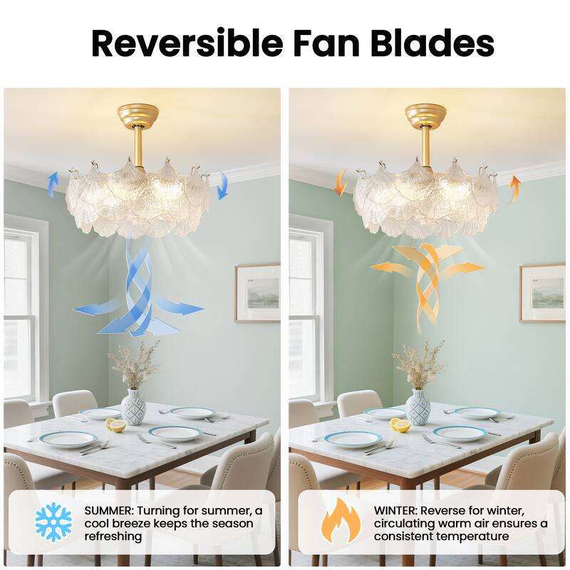 20" Modern Glass Chandelier with Shell Ceiling Fan with Remote Control, Caged with 6 Speeds for Bedroom, Nursery, Living Room
