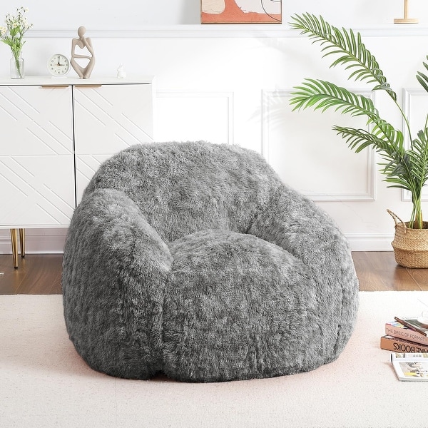 Faux Fur Bean Bag Chair, PV Plush, with Armrests - Bed Bath