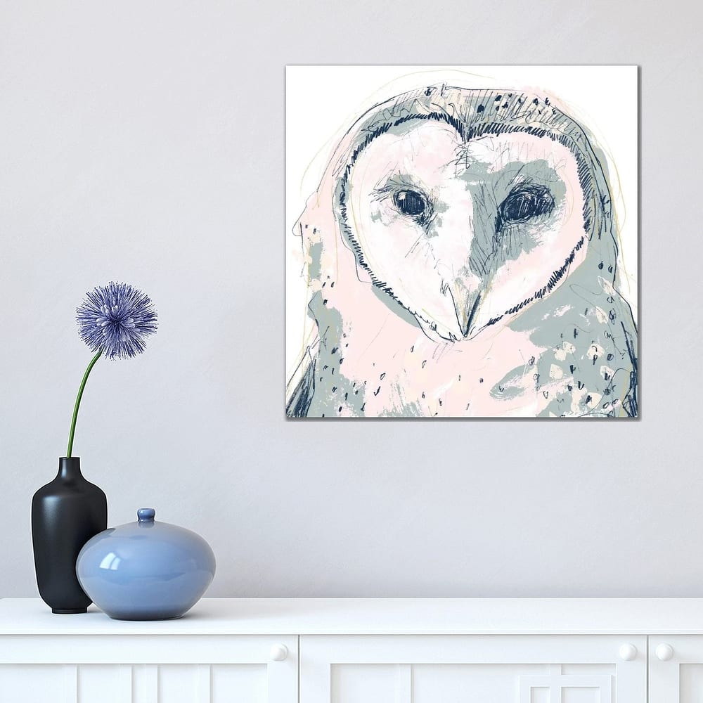 iCanvas "Funky Owl Portrait I" by June Erica Vess Canvas Print