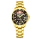 Option Gold1