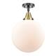 Option Matte White / Black Antique Brass