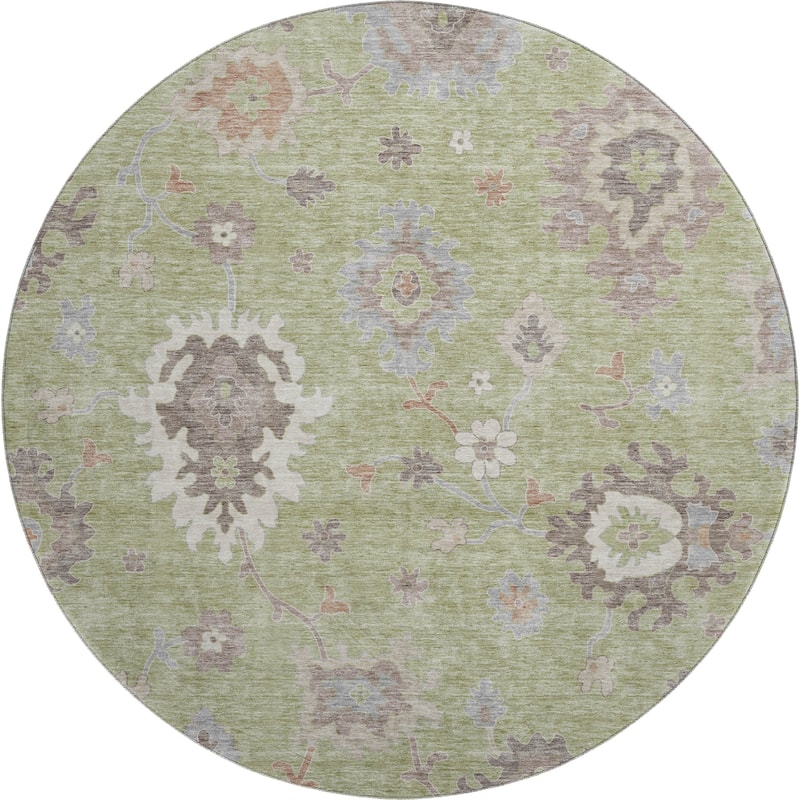 Premium Washable Super Soft Traditional Farmhouse Mayfield Rug