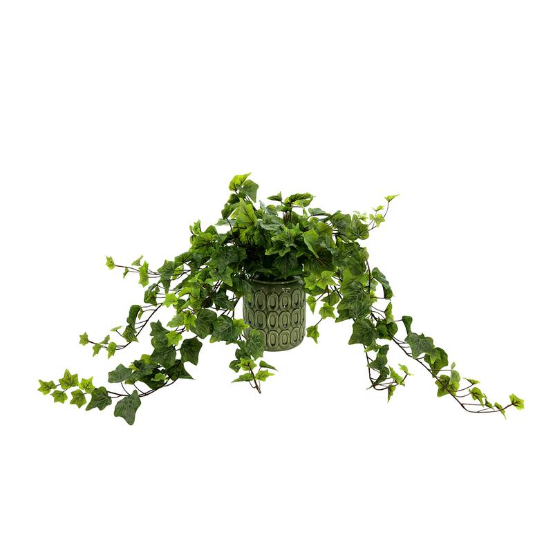 Ivy Arrangement in a Ceramic Pot - Green