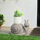 Option Snail