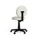 preview thumbnail 34 of 39, Sports Swivel Task Office Chair