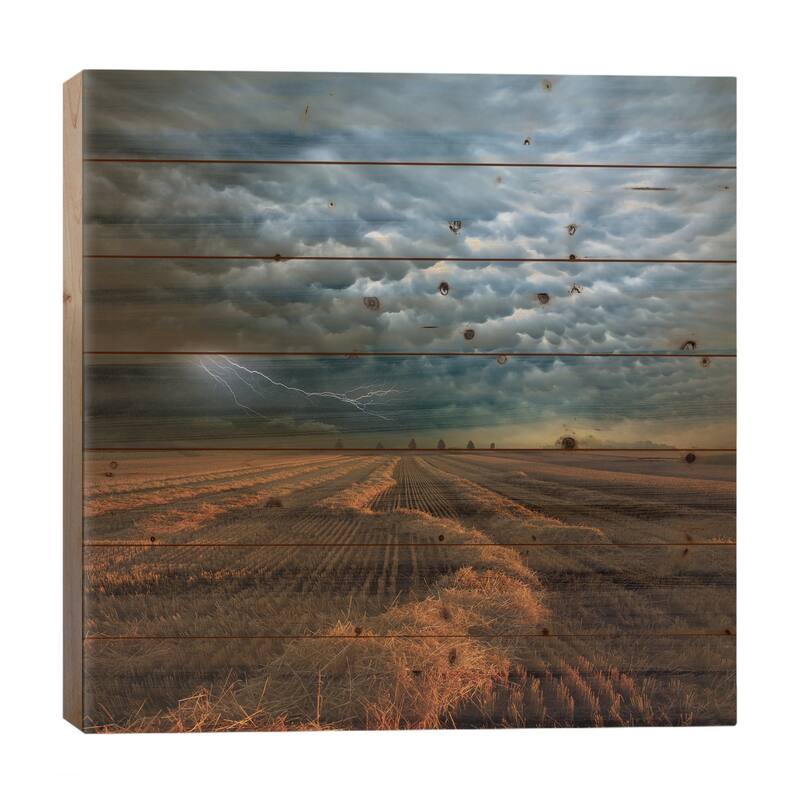 Mammatus Print On Wood by Franz Schumacher - Multi-Color - 26x26x1.5
