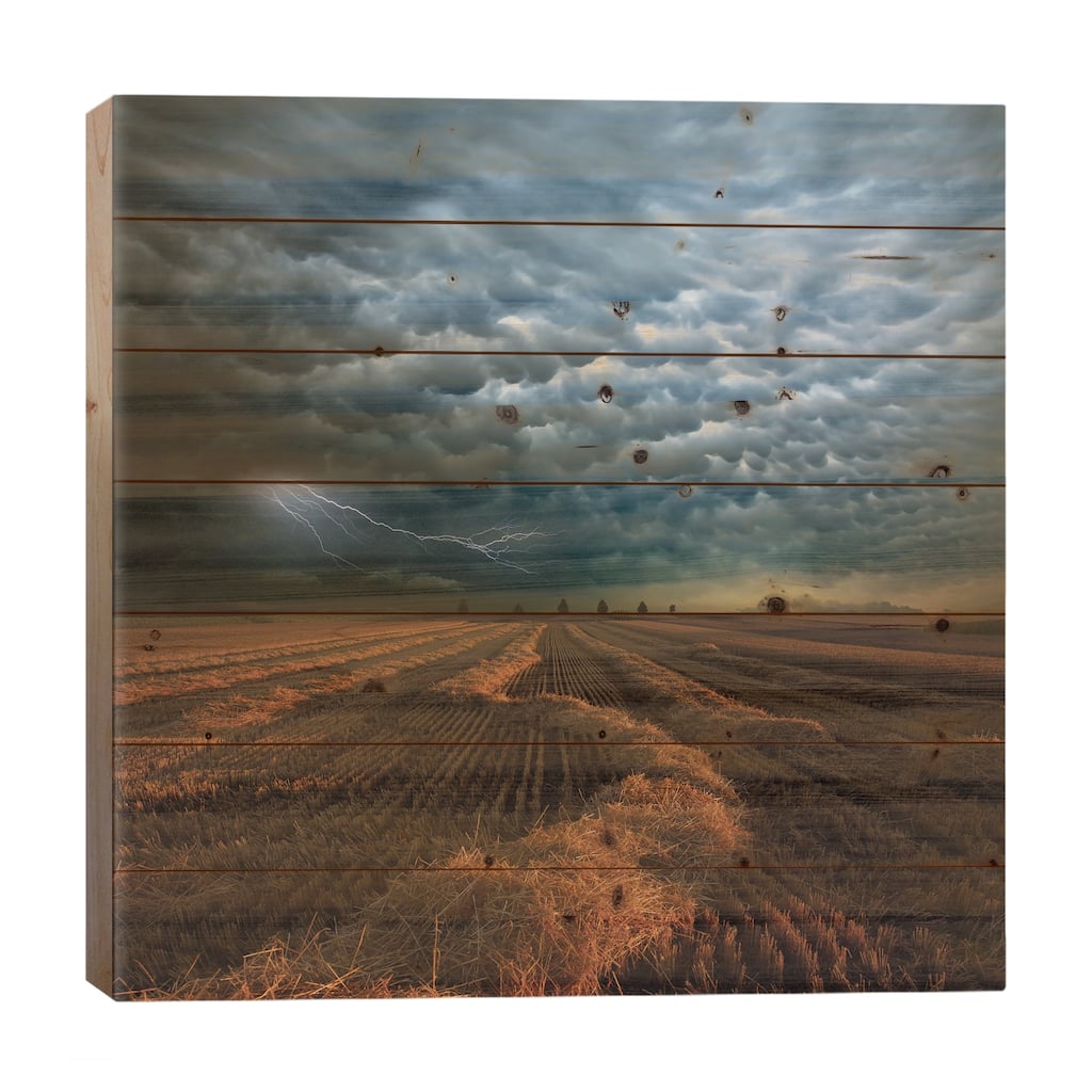 Mammatus Print On Wood by Franz Schumacher - Multi-Color